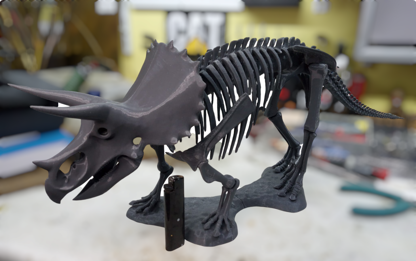 Triceratops skelet replica