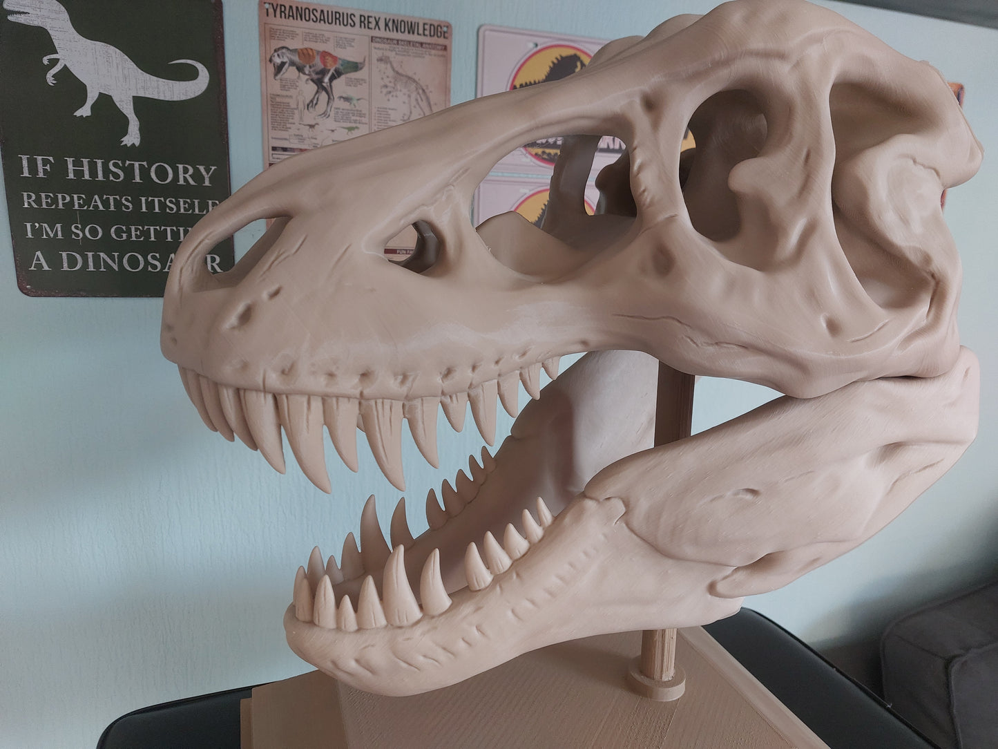 T Rex schedel replica XXL