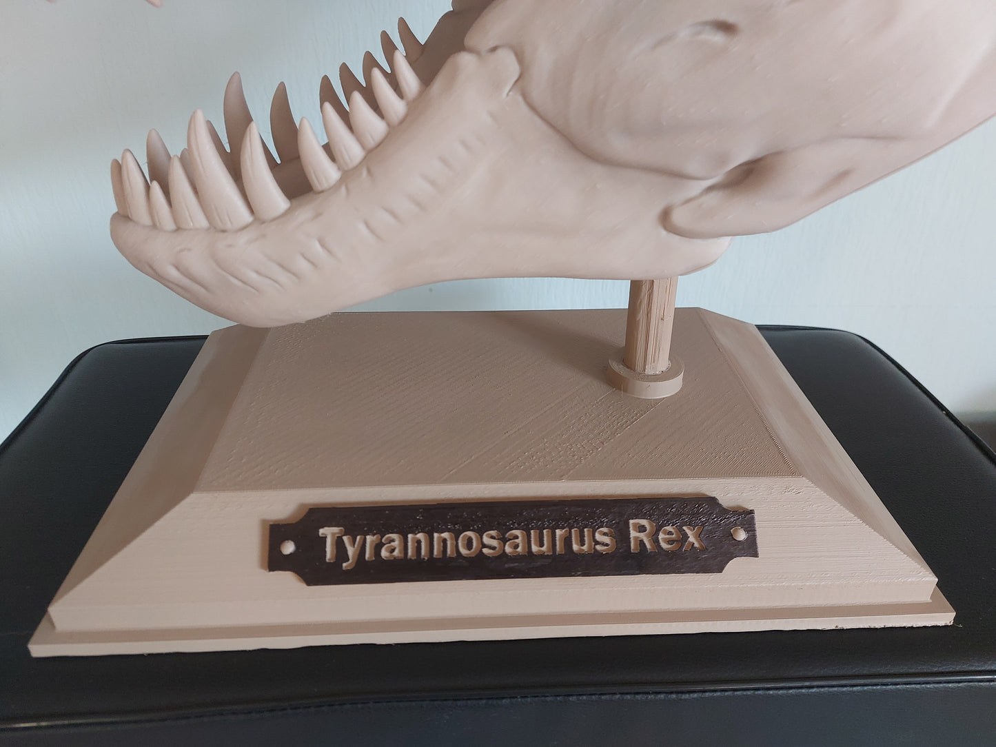 T Rex schedel replica XXL