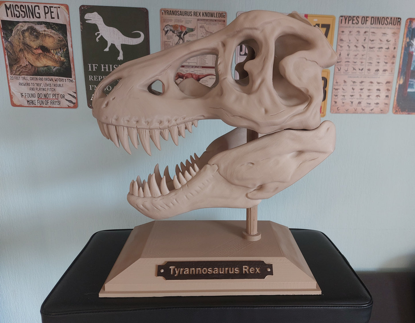 T Rex schedel replica XXL